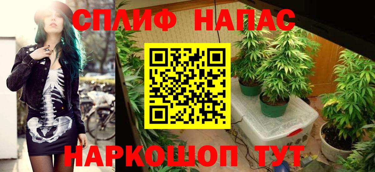 МАРИХУАНА марихуана  Вход с VPN  Бошки марихуана MAZAR  Мирный  Каннабис MAZAR  Канабис планчик 